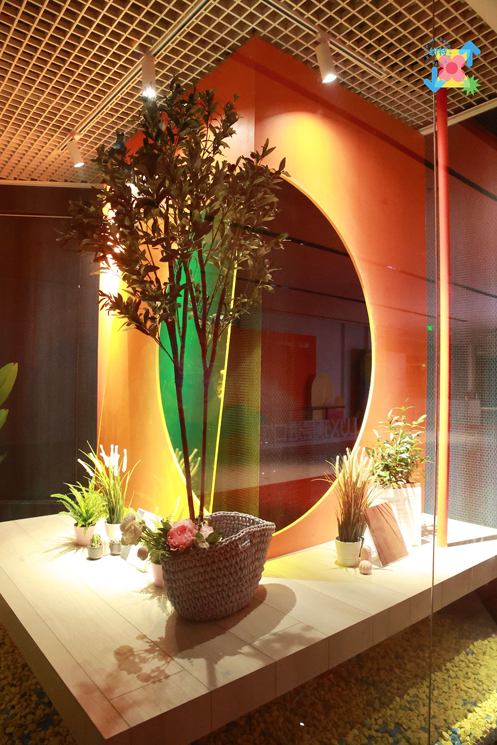 紛特石晶，開啟繽紛之旅