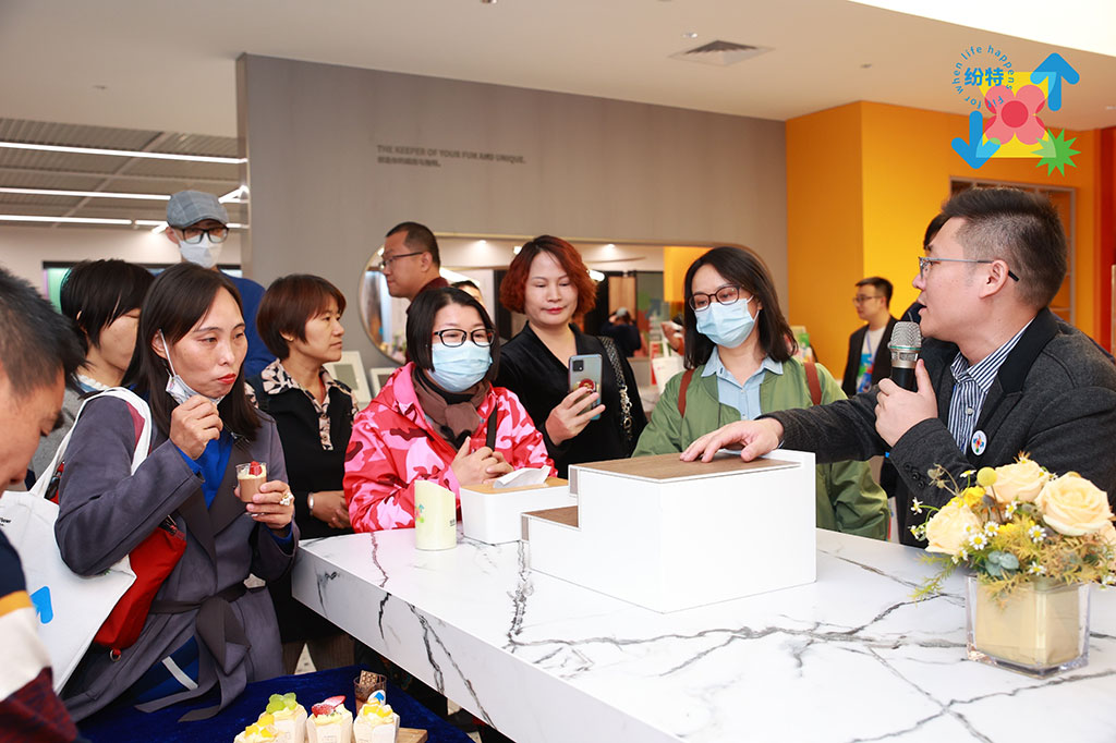 紛特石晶，開啟繽紛之旅